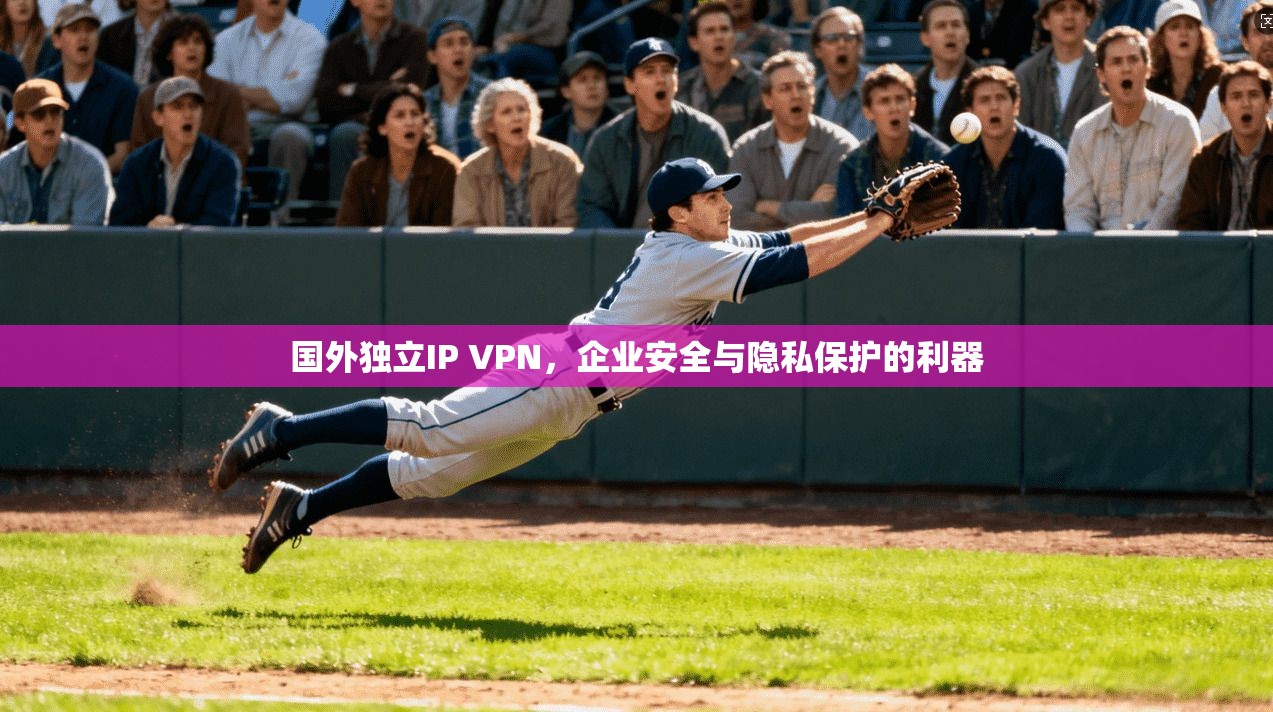 国外独立IP VPN,企业安全与隐私保护的利器