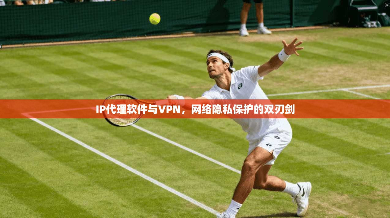 IP代理软件与VPN，网络隐私保护的双刃剑
