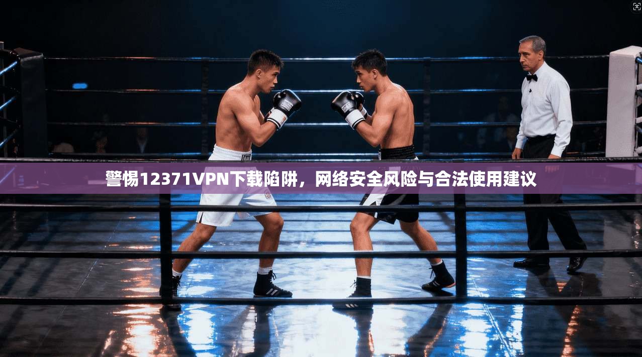警惕12371VPN下载陷阱，网络安全风险与合法使用建议