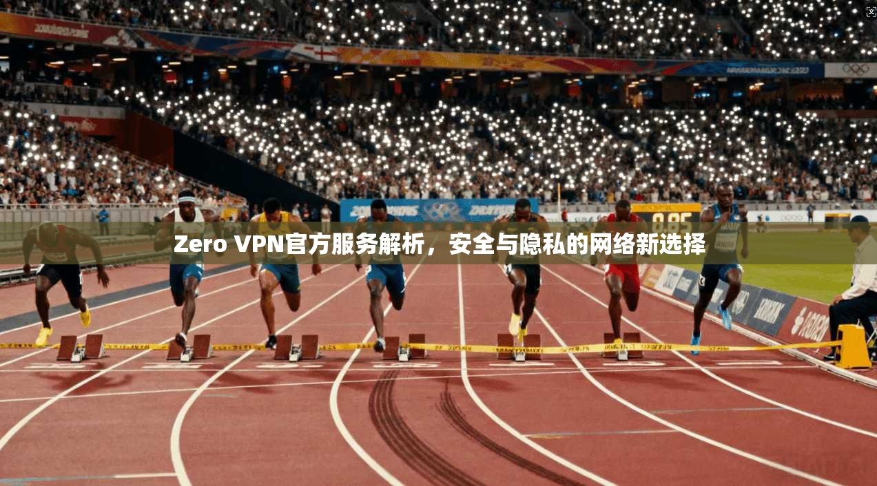 Zero VPN官方服务解析,安全与隐私的网络新选择