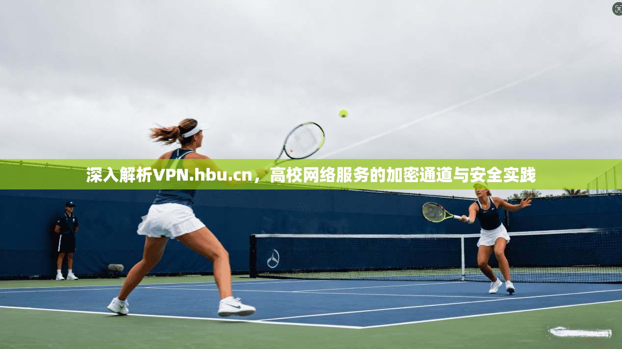 深入解析VPN.hbu.cn,高校网络服务的加密通道与安全实践 深入解析VPN.hbu.cn,高校网络服务的加密通道与安全实践