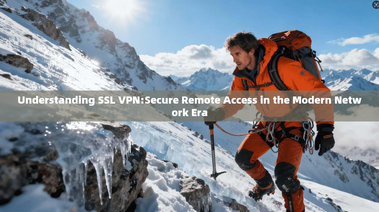 Understanding SSL VPN:Secure Remote Access in the Modern Network Era
