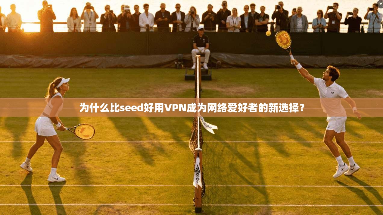 为什么比seed好用VPN成为网络爱好者的新选择？