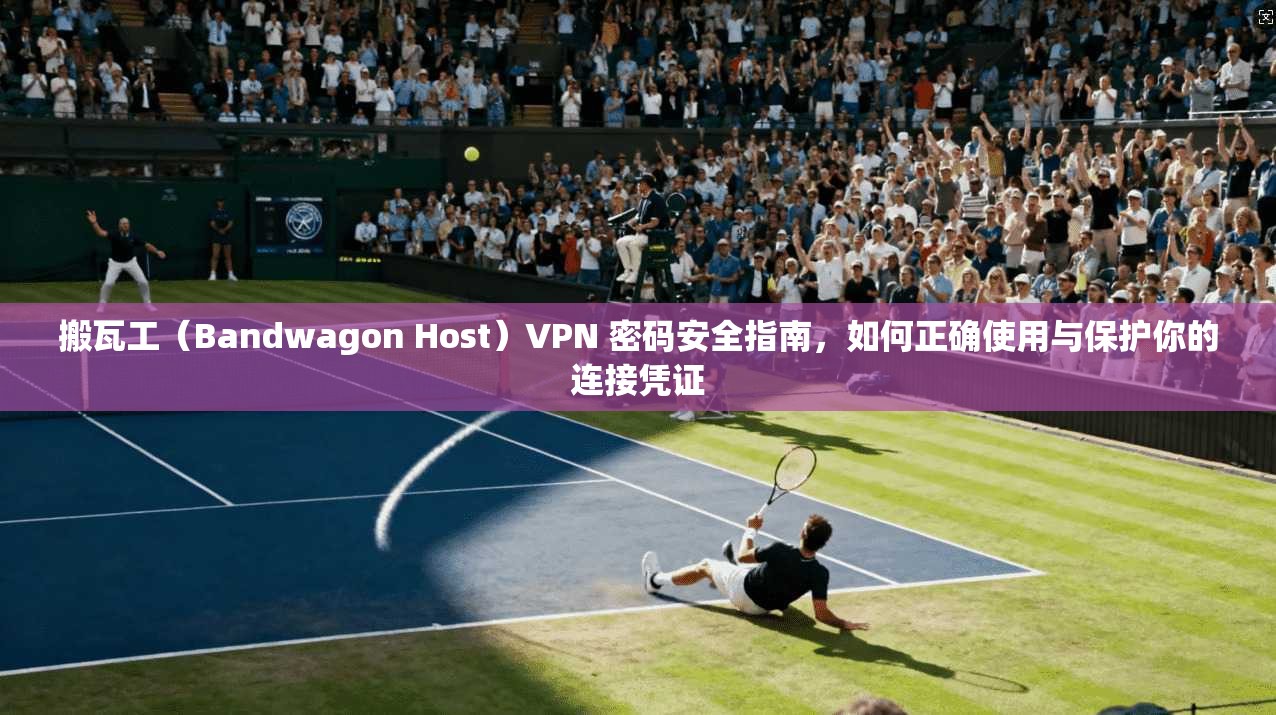 搬瓦工(Bandwagon Host)VPN 密码安全指南,如何正确使用与保护你的连接凭证