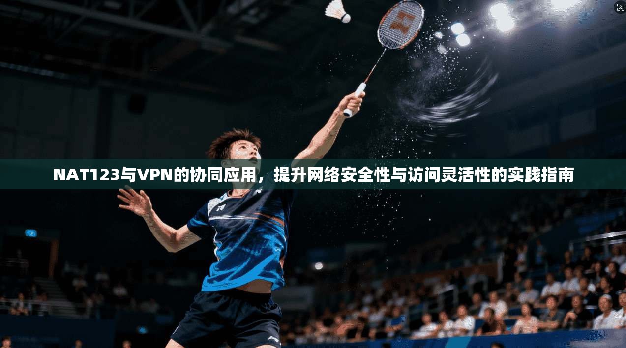 NAT123与VPN的协同应用，提升网络安全性与访问灵活性的实践指南