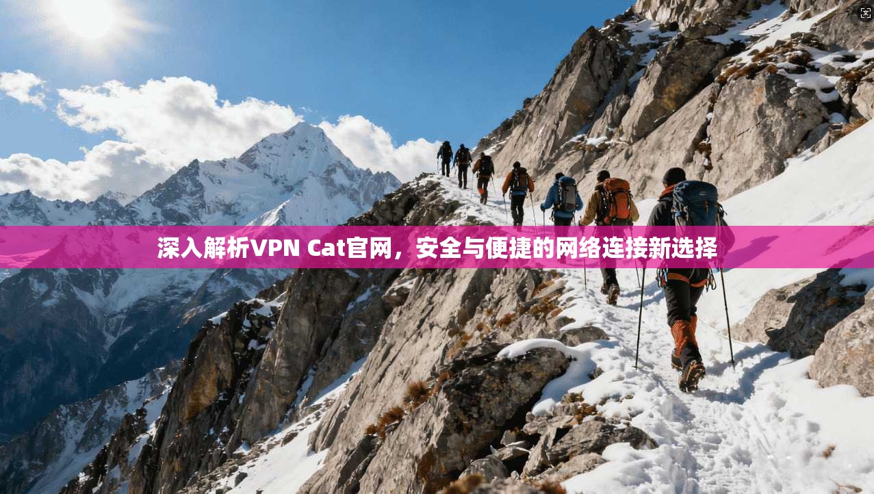 深入解析VPN Cat官网，安全与便捷的网络连接新选择