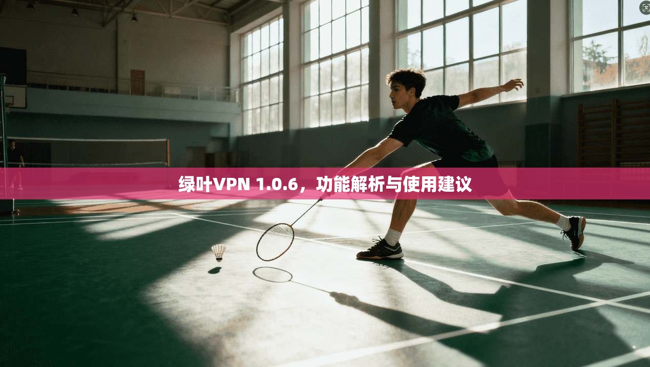 绿叶VPN 1.0.6,功能解析与使用建议 绿叶VPN 1.0.6,功能解析与使用建议