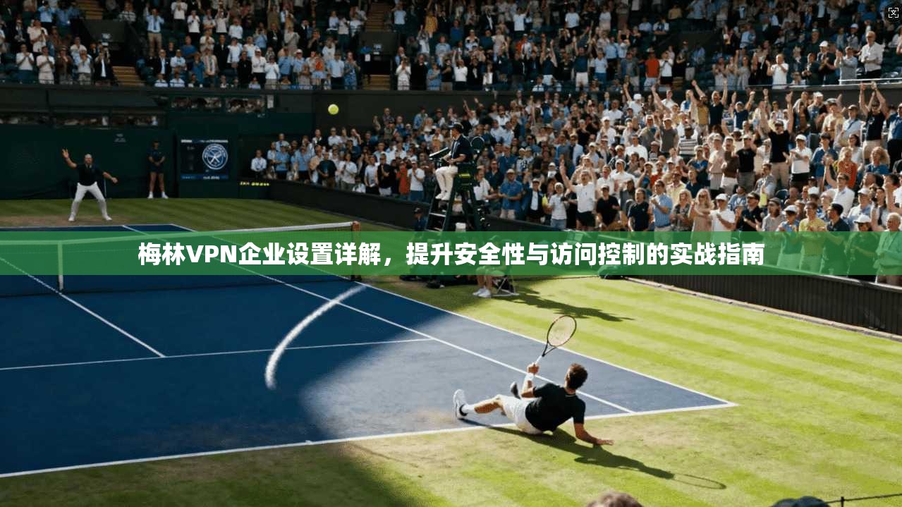 梅林VPN企业设置详解,提升安全性与访问控制的实战指南