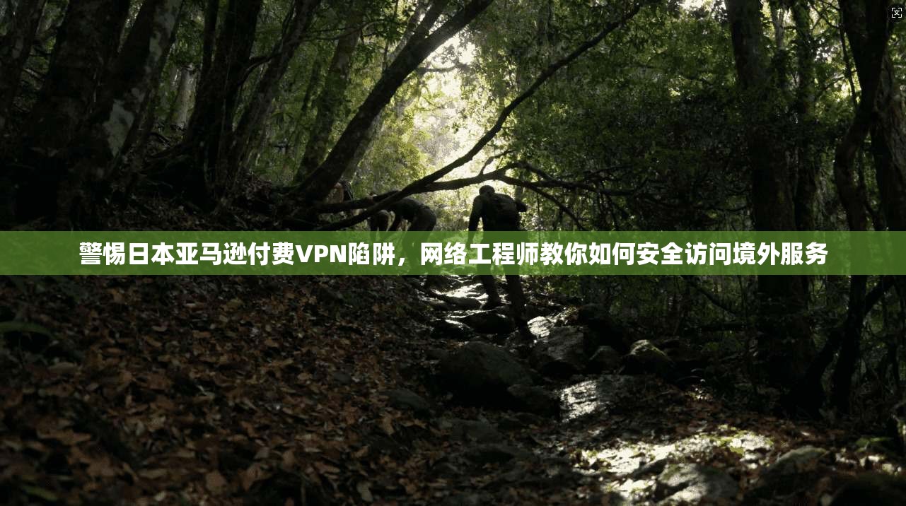 警惕日本亚马逊付费VPN陷阱，网络工程师教你如何安全访问境外服务