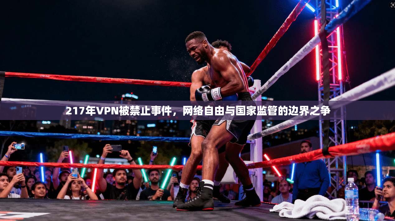 217年VPN被禁止事件，网络自由与国家监管的边界之争