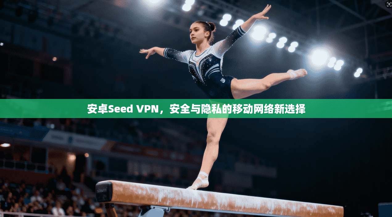 安卓Seed VPN，安全与隐私的移动网络新选择