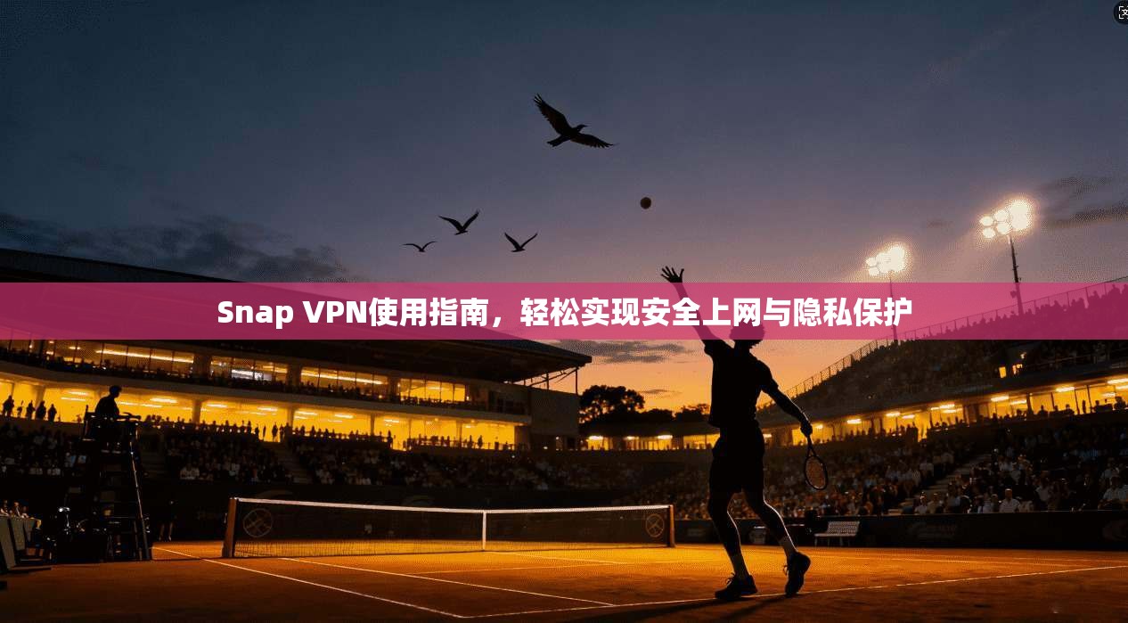 Snap VPN使用指南，轻松实现安全上网与隐私保护