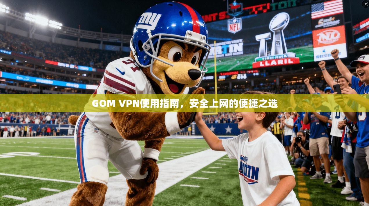 GOM VPN使用指南，安全上网的便捷之选
