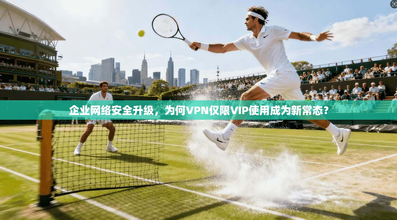 企业网络安全升级，为何VPN仅限VIP使用成为新常态？
