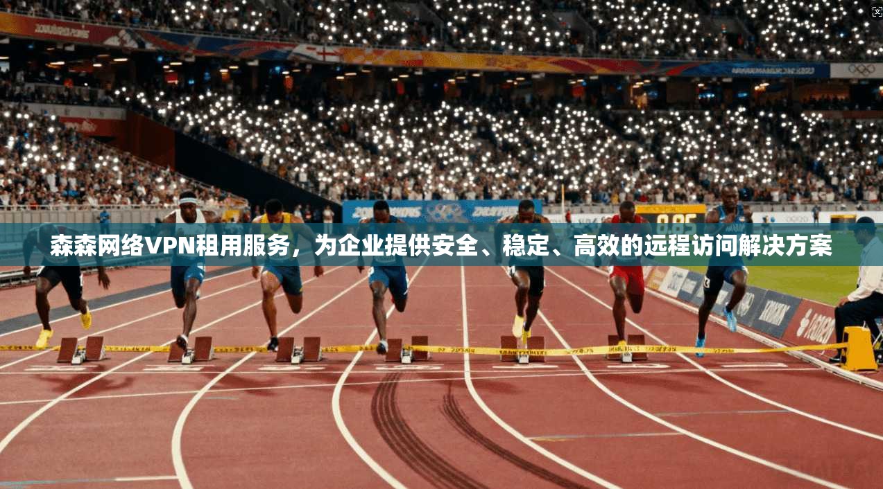 森森网络VPN租用服务，为企业提供安全、稳定、高效的远程访问解决方案