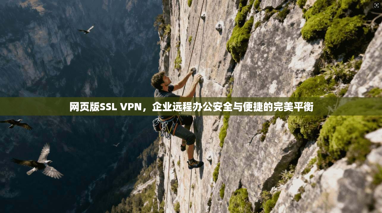 网页版SSL VPN，企业远程办公安全与便捷的完美平衡