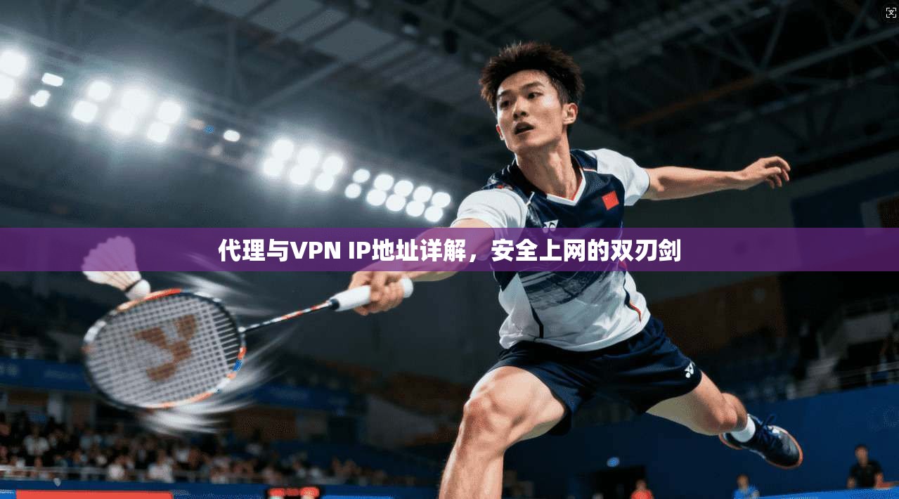 代理与VPN IP地址详解，安全上网的双刃剑