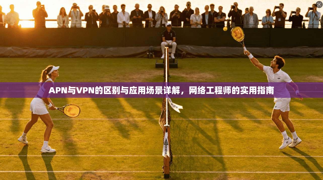 APN与VPN的区别与应用场景详解，网络工程师的实用指南
