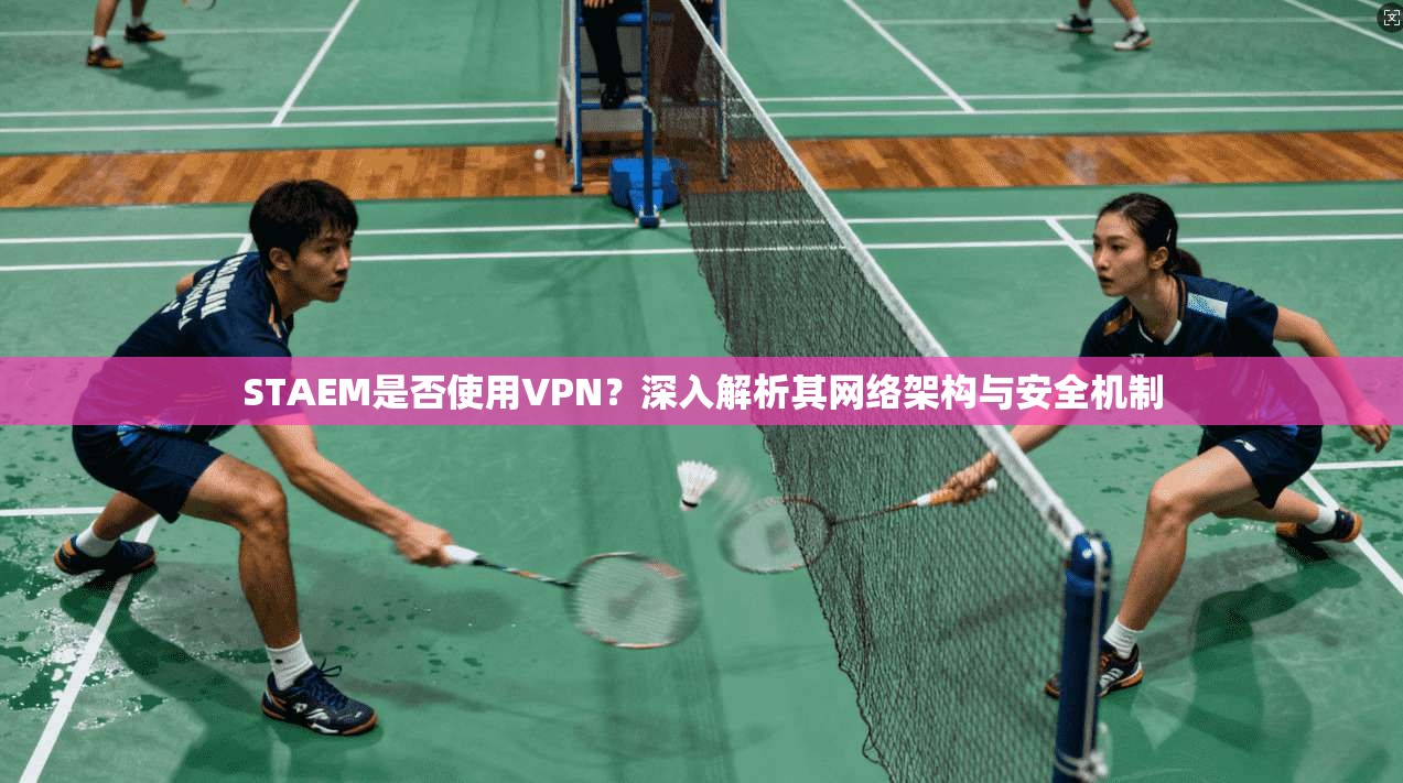 STAEM是否使用VPN？深入解析其网络架构与安全机制