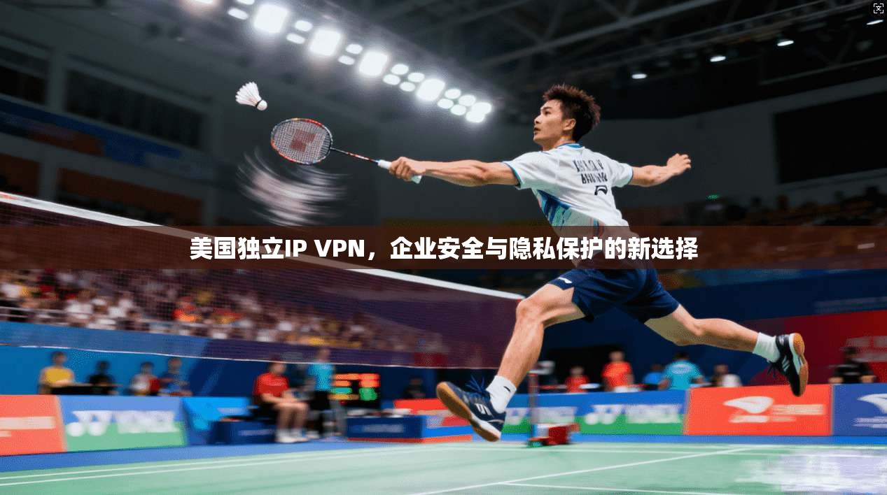 美国独立IP VPN,企业安全与隐私保护的新选择 美国独立IP VPN,企业安全与隐私保护的新选择