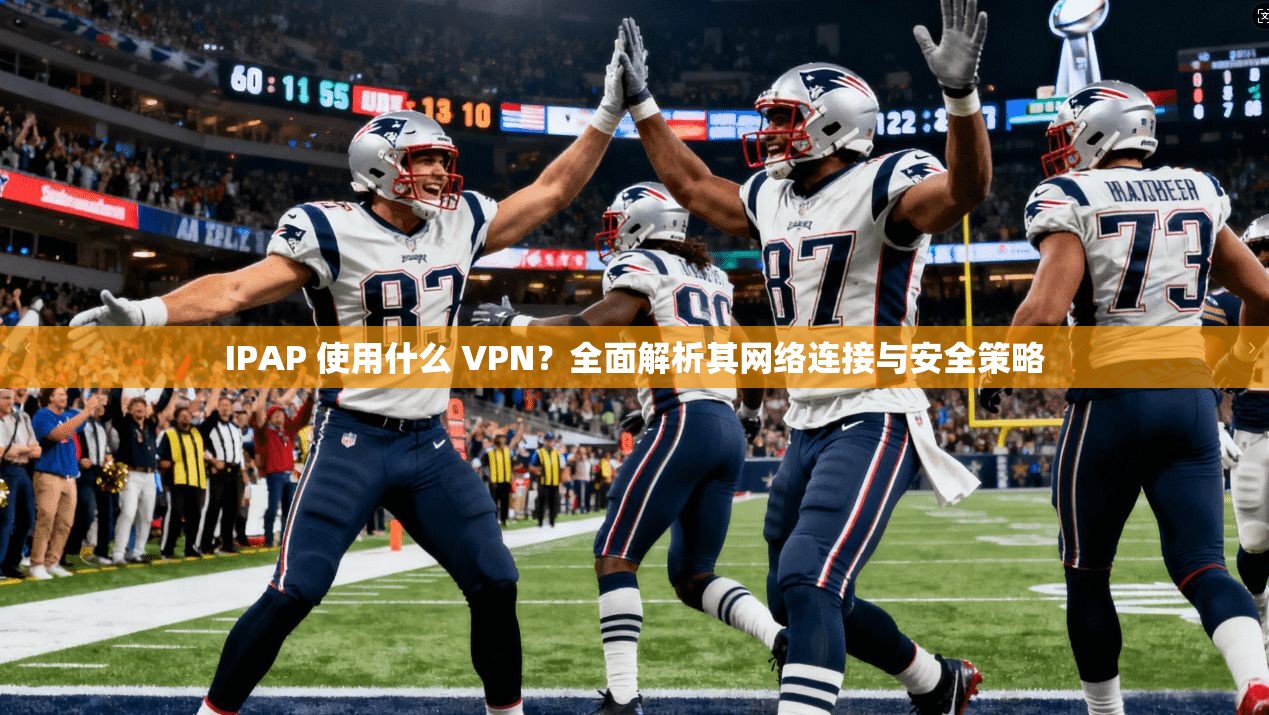 IPAP 使用什么 VPN？全面解析其网络连接与安全策略