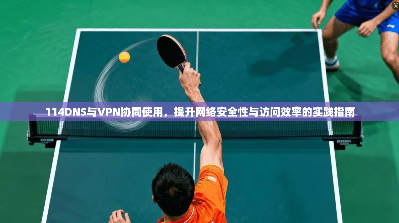 114DNS与VPN协同使用，提升网络安全性与访问效率的实践指南