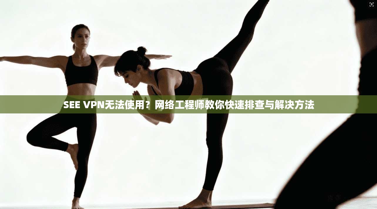 SEE VPN无法使用？网络工程师教你快速排查与解决方法