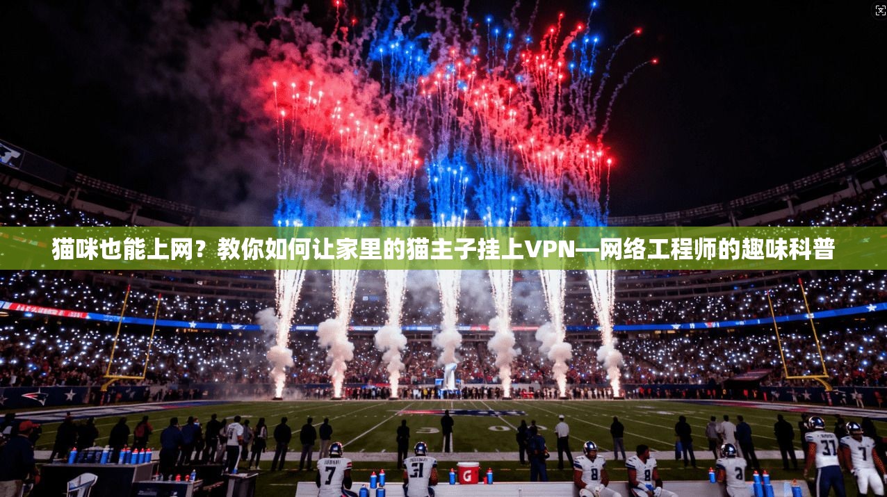 猫咪也能上网？教你如何让家里的猫主子挂上VPN—网络工程师的趣味科普