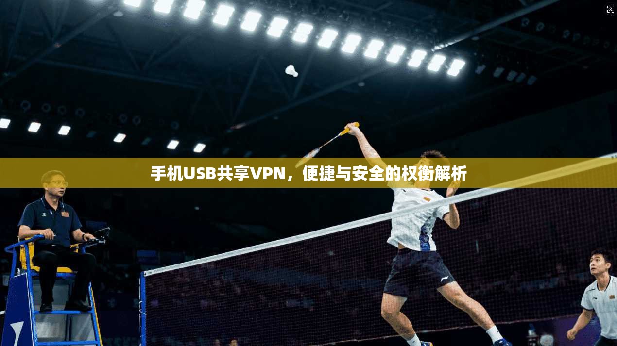 手机USB共享VPN，便捷与安全的权衡解析