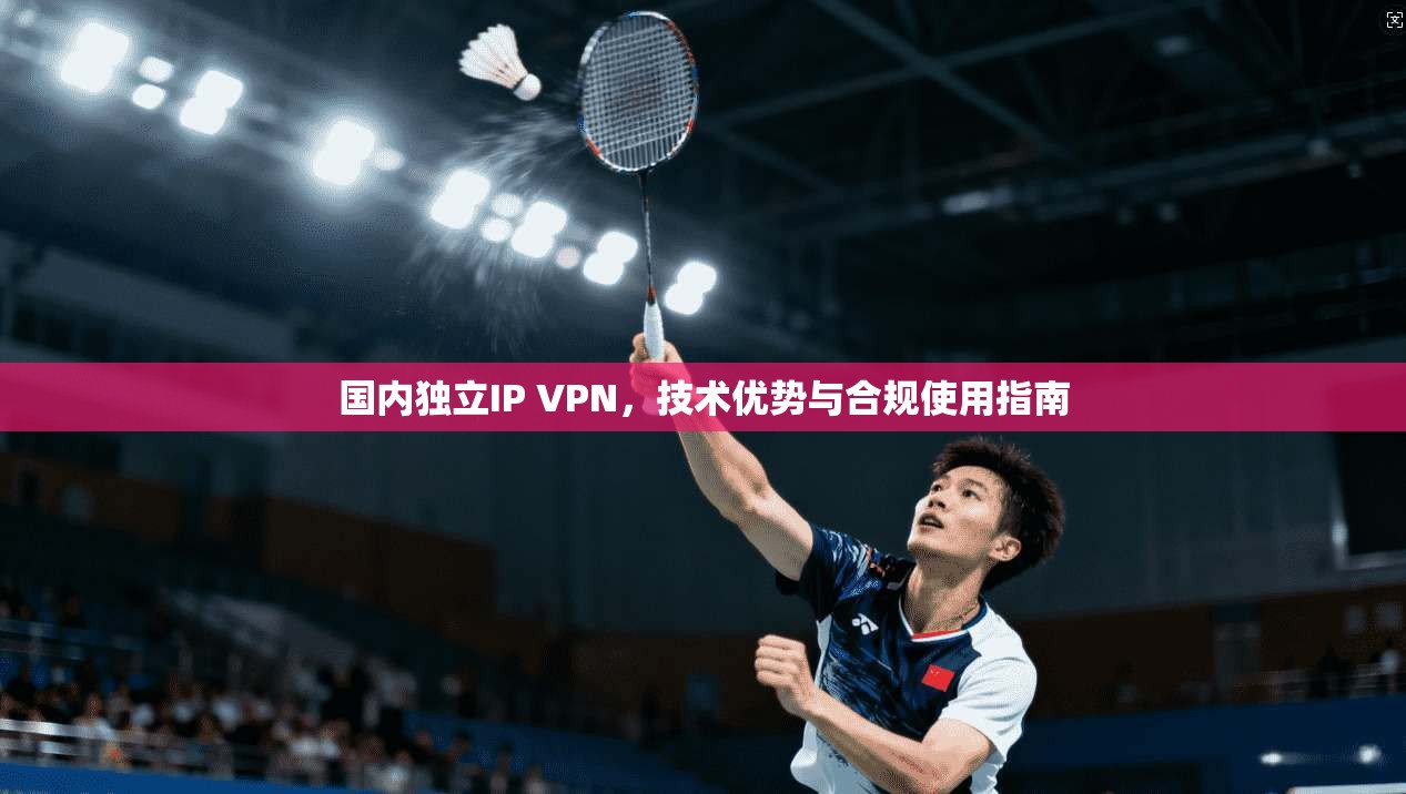 国内独立IP VPN，技术优势与合规使用指南