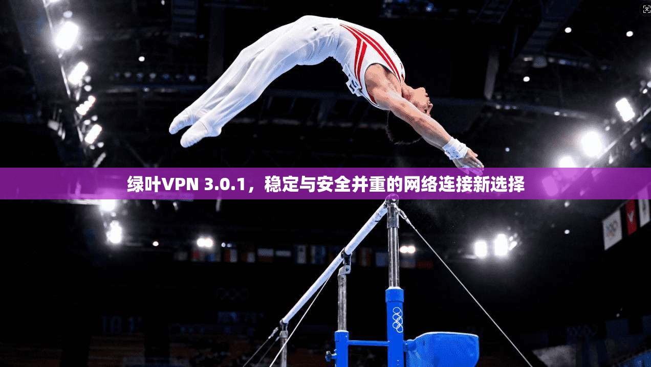 绿叶VPN 3.0.1，稳定与安全并重的网络连接新选择