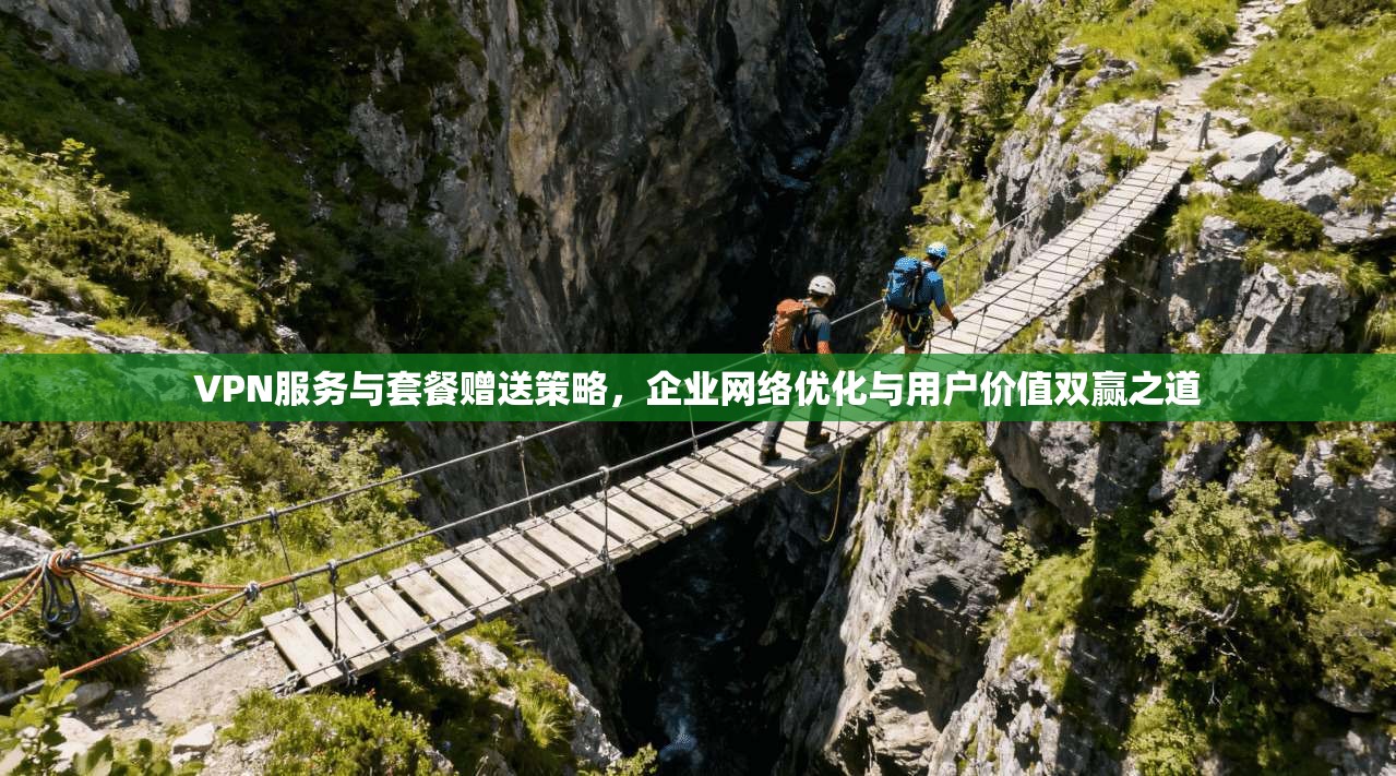 VPN服务与套餐赠送策略，企业网络优化与用户价值双赢之道