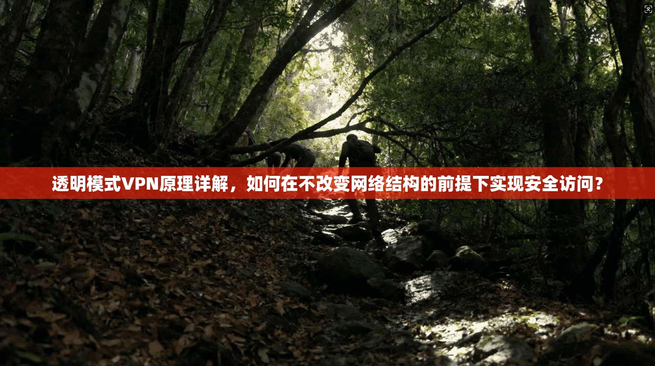 透明模式VPN原理详解，如何在不改变网络结构的前提下实现安全访问？