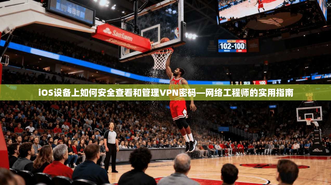 iOS设备上如何安全查看和管理VPN密码—网络工程师的实用指南