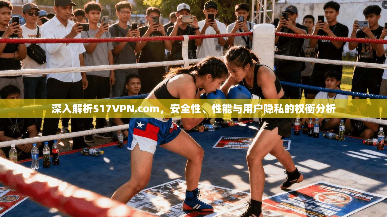 深入解析517VPN.com,安全性、性能与用户隐私的权衡分析
