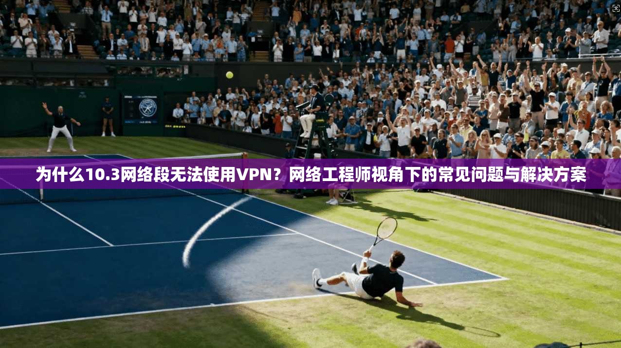 为什么10.3网络段无法使用VPN？网络工程师视角下的常见问题与解决方案