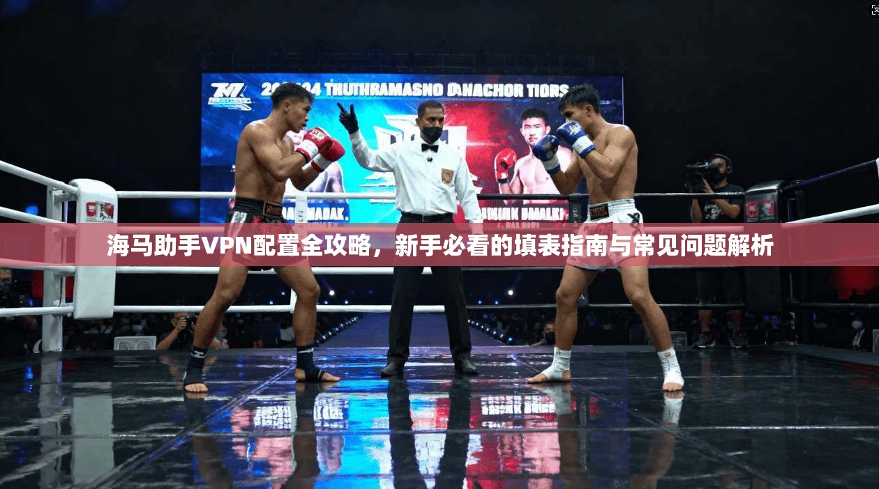 海马助手VPN配置全攻略,新手必看的填表指南与常见问题解析