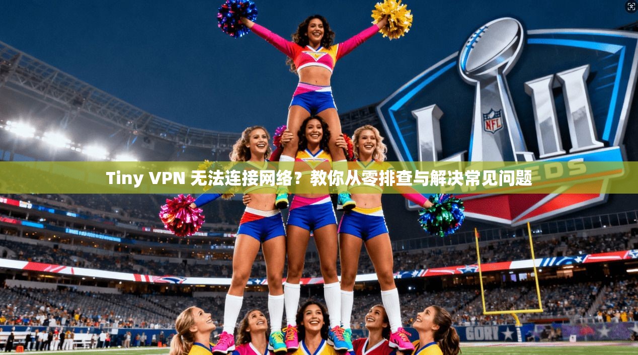 Tiny VPN 无法连接网络?教你从零排查与解决常见问题