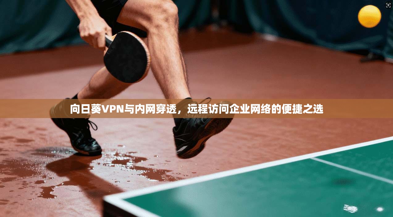 向日葵VPN与内网穿透,远程访问企业网络的便捷之选