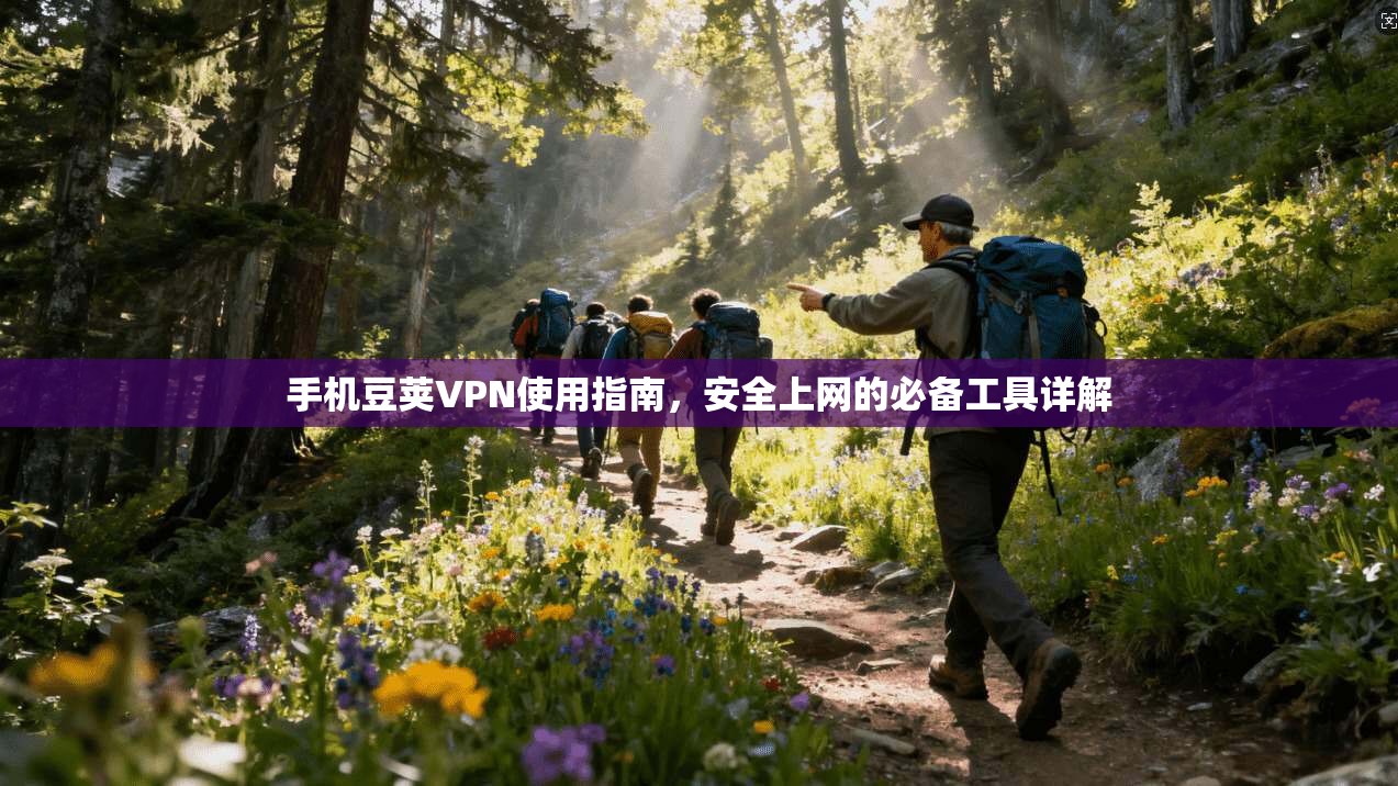 手机豆荚VPN使用指南，安全上网的必备工具详解
