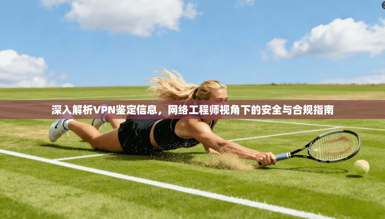 深入解析VPN鉴定信息，网络工程师视角下的安全与合规指南