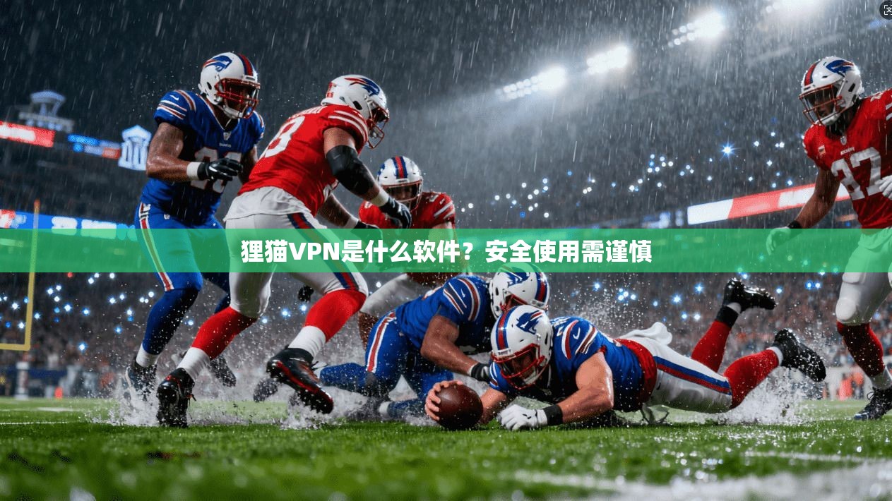 狸猫VPN是什么软件？安全使用需谨慎