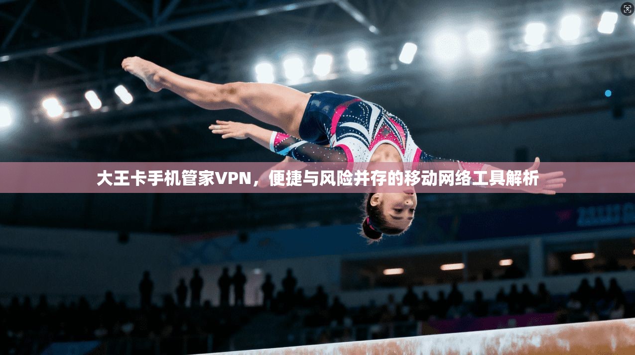 大王卡手机管家VPN，便捷与风险并存的移动网络工具解析