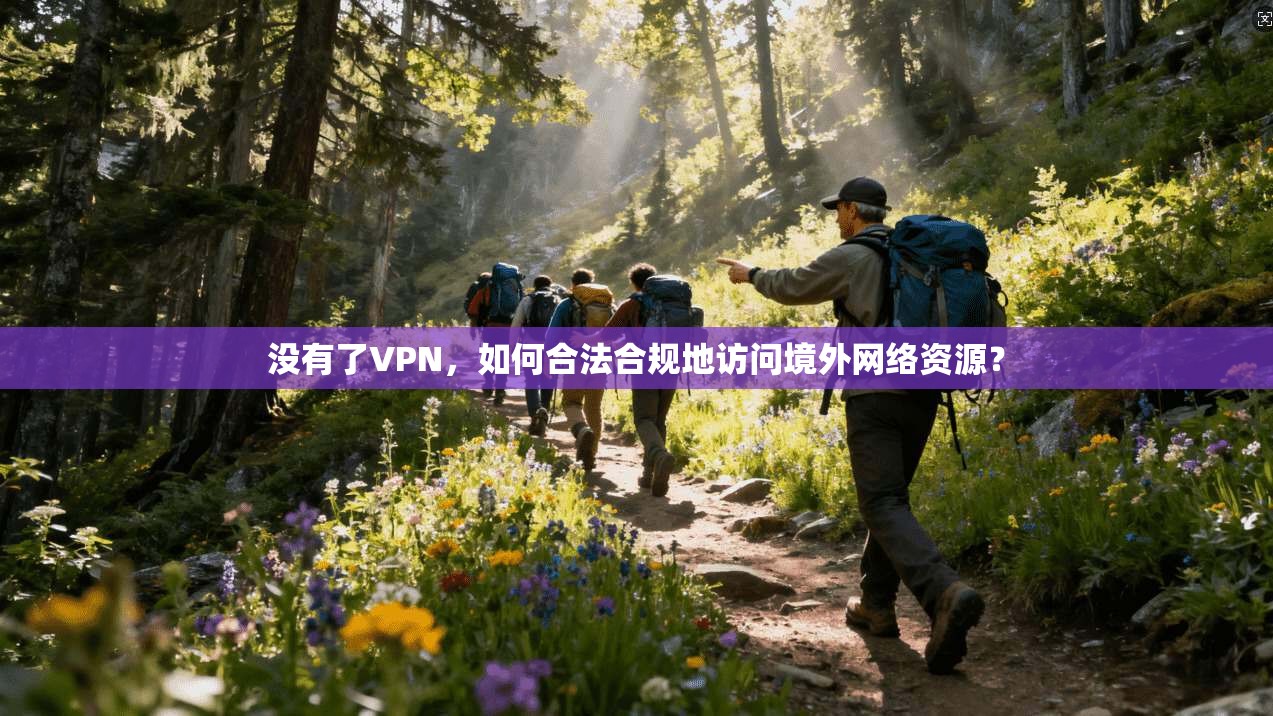 没有了VPN，如何合法合规地访问境外网络资源？