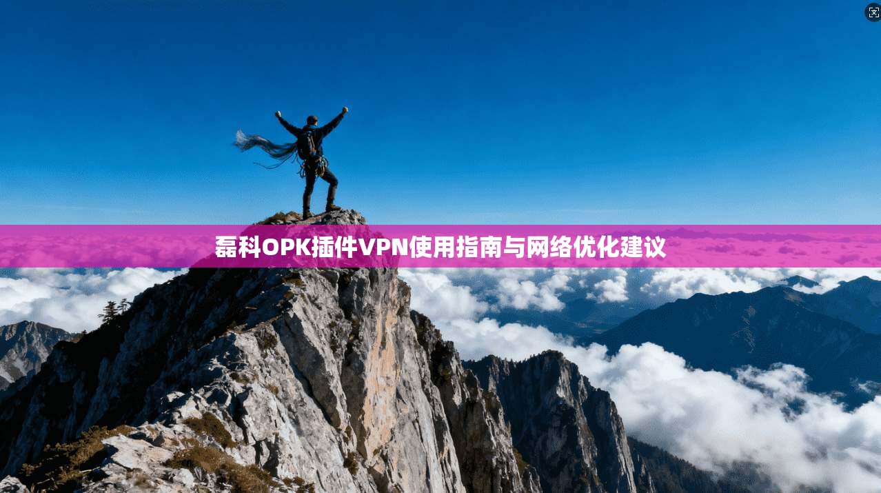 磊科OPK插件VPN使用指南与网络优化建议 磊科OPK插件VPN使用指南与网络优化建议