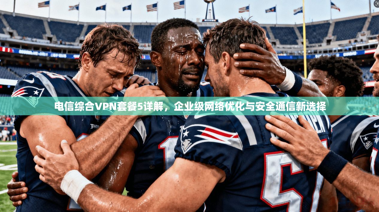 电信综合VPN套餐5详解，企业级网络优化与安全通信新选择