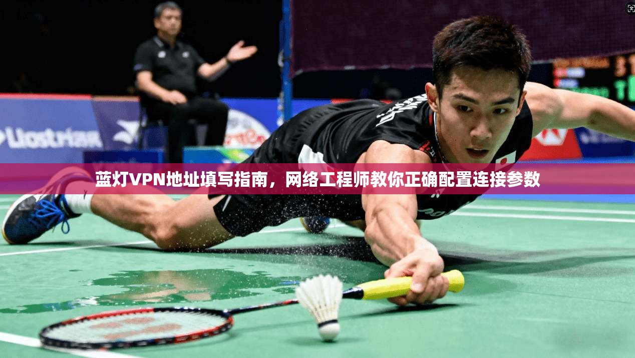 蓝灯VPN地址填写指南,网络工程师教你正确配置连接参数 蓝灯VPN地址填写指南,网络工程师教你正确配置连接参数