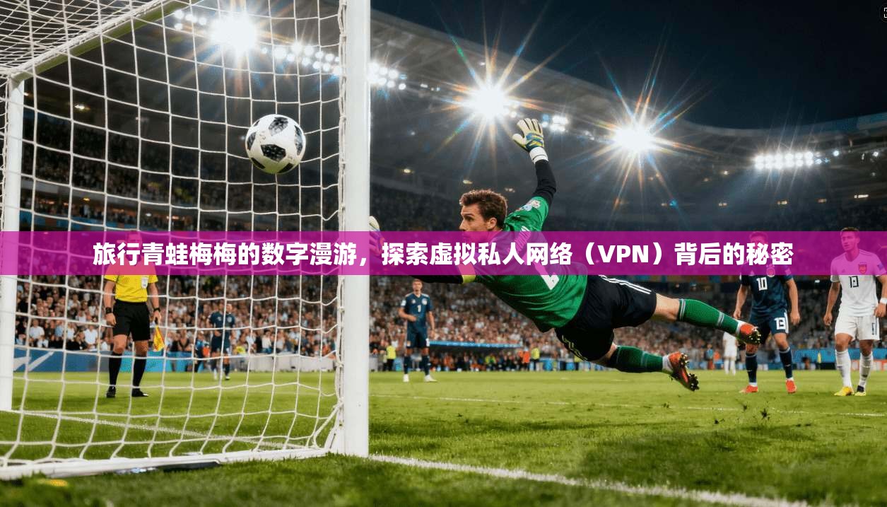 旅行青蛙梅梅的数字漫游，探索虚拟私人网络（VPN）背后的秘密