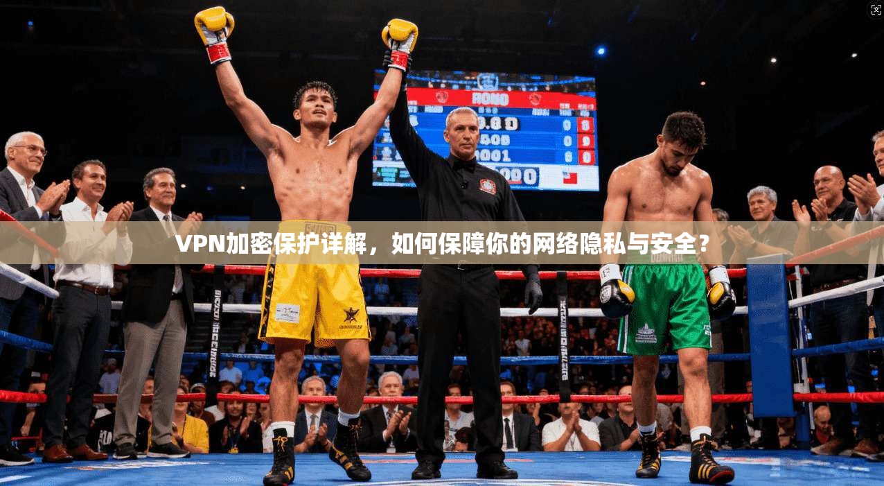 VPN加密保护详解,如何保障你的网络隐私与安全? VPN加密保护详解,如何保障你的网络隐私与安全?