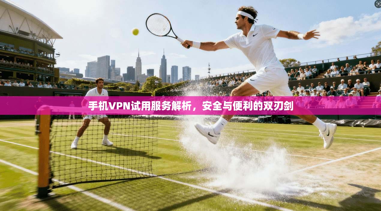 手机VPN试用服务解析，安全与便利的双刃剑